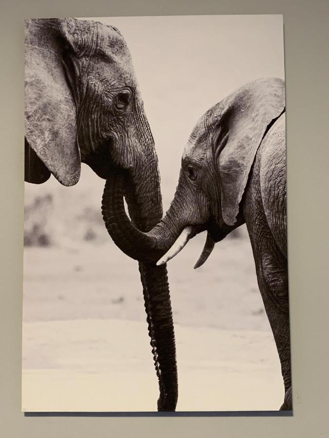 Mogwase Elephant House, 2 Bedroom House, Next To Pilanesberg And Sun City מראה חיצוני תמונה